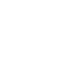 Shoes Party